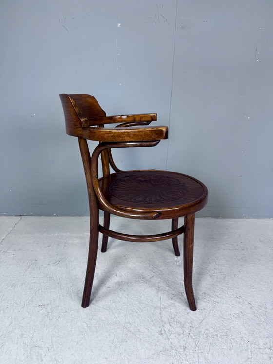 Image 1 of Chaise Thonet Cosmos