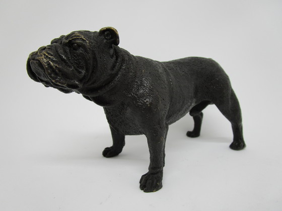 Image 1 of Bronze English Bulldog