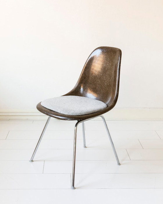 Image 1 of Set van twee Eames kuipjes/ eetkamerstoelen