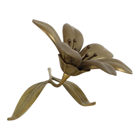 Posacenere con scultura a forma di giglio in ottone, stile metà secolo. – Oggetti decorativi, Brass (photo 10 of 18)
