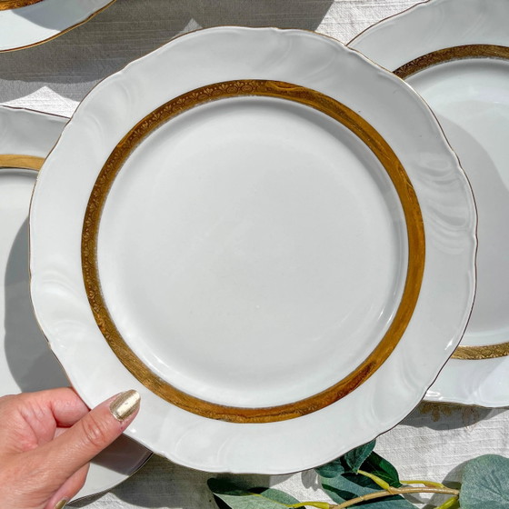 6 Vintage White and Gilded Porcelain Dinner Plates, French Limoges ADP "Ariane" - Elegant Antique French (photo 5 of 9)