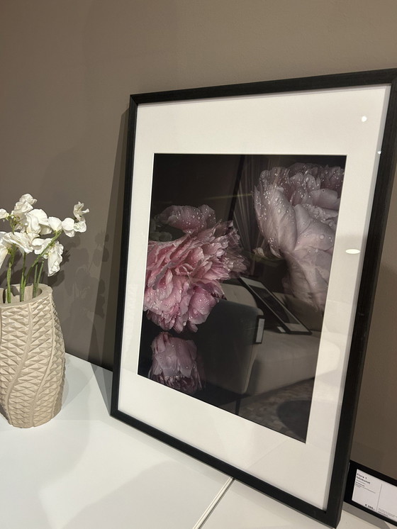 Image 1 of Boconcept - Fauna 1 Art Gallery