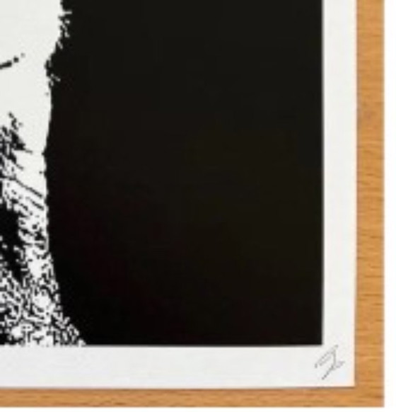 Image 1 of DEATH NYC - Scimmia DJ Vuitton Banksy