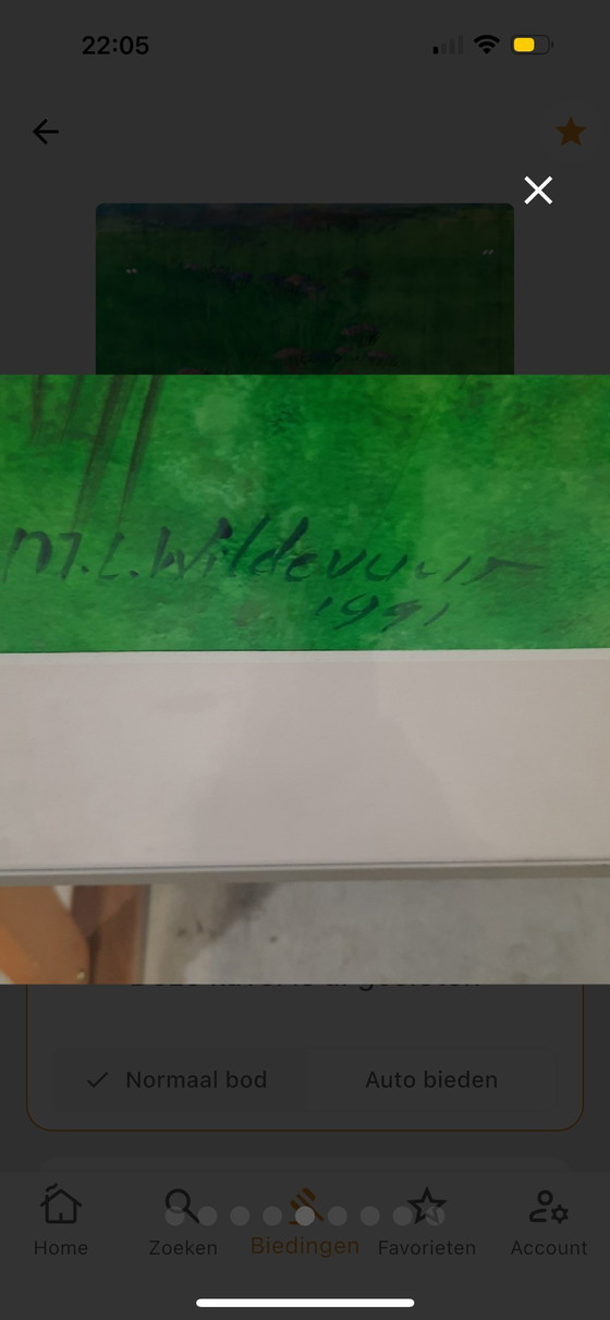 Image 1 of Maya Wildevuur - aquarelle - 91x110 cm - Champ de fleurs