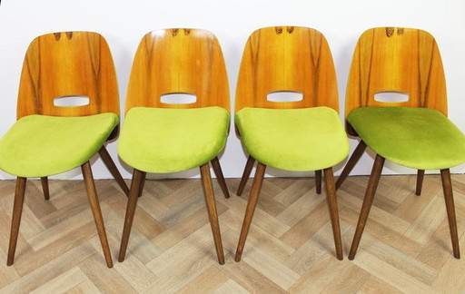 4x Chaises Tatra "Spring Grass" (herbe de printemps)