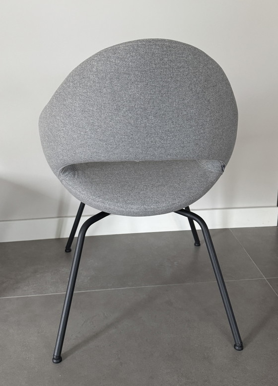 Image 1 of 6x sedia da pranzo Artifort Shark