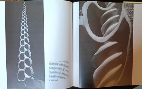 Image 1 of The Roots of Art (1975) Garzanti