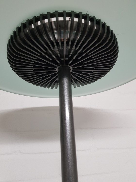 Image 1 of Aureola Grijs