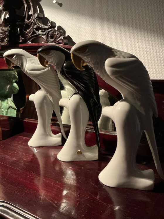 Image 1 of Royal-Dux papagaai 🦜 2 