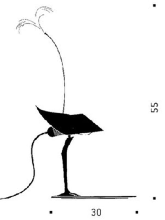 Image 1 of Ingo Maurer Bibibibi lampe de table post moderne édition limitée