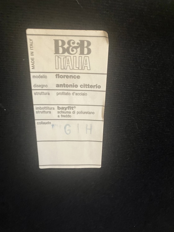 Image 1 of B&B Italia Florence Lounge Chair by Antonio Citterio