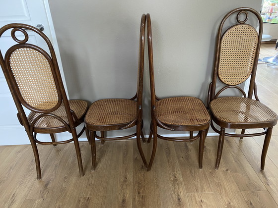 Image 1 of 4 sillas antiguas de cincha Lange Jan