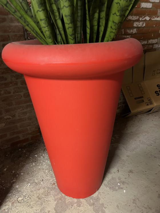 3 XXXL Plant pots – G00000, Plastic (photo 6 of 9)