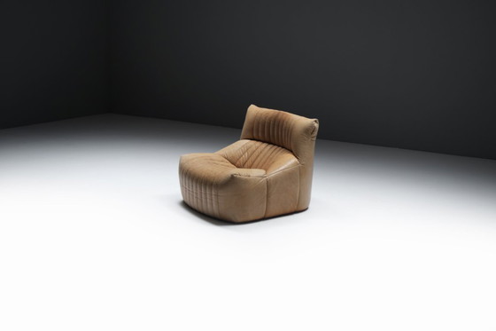 Image 1 of Aralia vintage '1981' in pelle originale di Michel Ducaroy per Ligne Roset