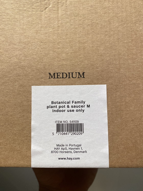 Image 1 of Maceta botánica de heno y platillo