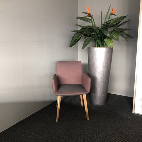 Image 1 of COR Jalis 545 eetkamerstoel