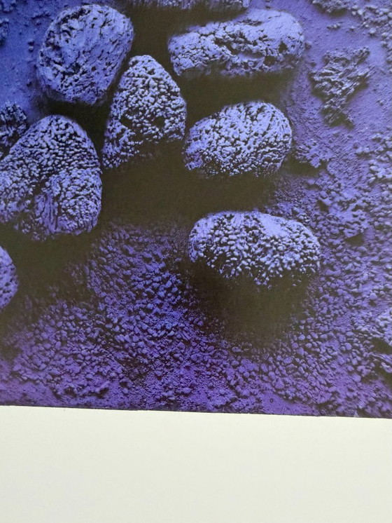 Image 1 of Yves Klein (1928-1962), Relieve esponja azul: RE19, 1958, © VG Bild-Kunst, Bonn 2008, Impreso en Alemania