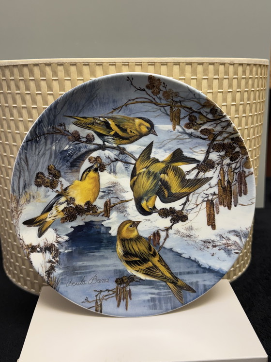 Image 1 of 🐦 „Vögel im Winter“ | Handbemalte Porzellanteller für Sammler | Hutschenreuther | Limitierte Auflage | Neuwertiger Zustand