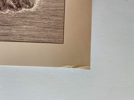 Imbue 'Zuckerberg' 386/500 – Litho's & Zeefdrukken, Paper (photo 4 of 5)