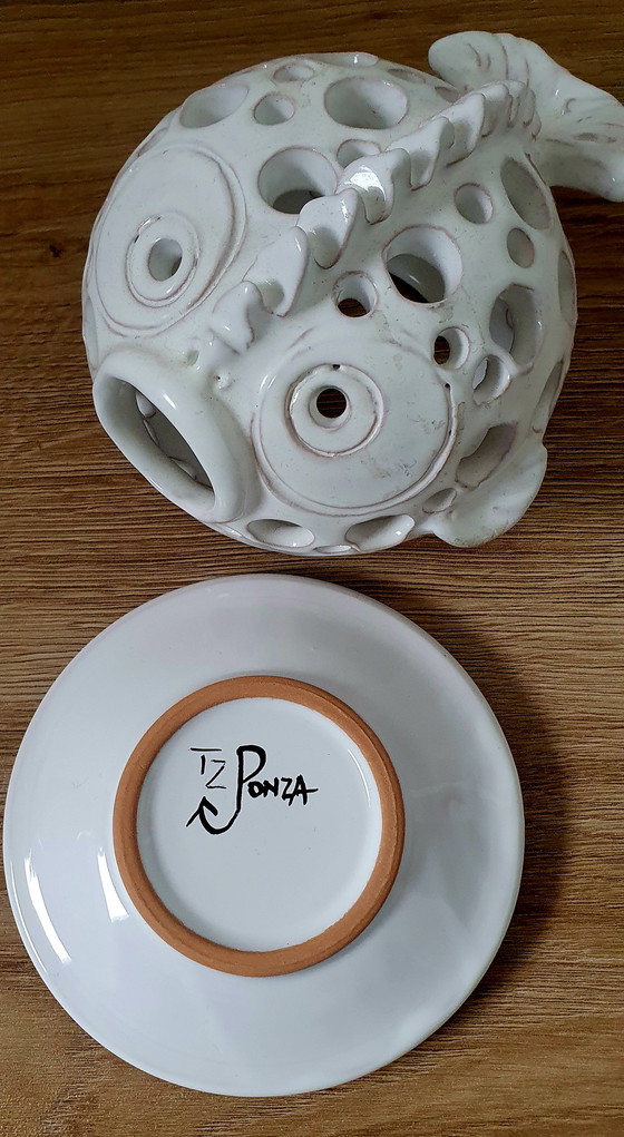 Image 1 of Pesce palla