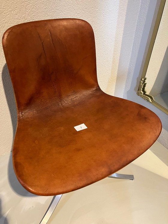 Image 1 of Vintage chairs PK9 PK 9 Poul Kjærholm Kjaerholm from EKC 8 pieces