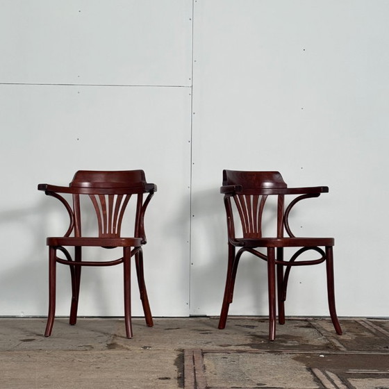 Image 1 of Paire de chaises hongroises Sellaton, années 2000 — Design contemporain