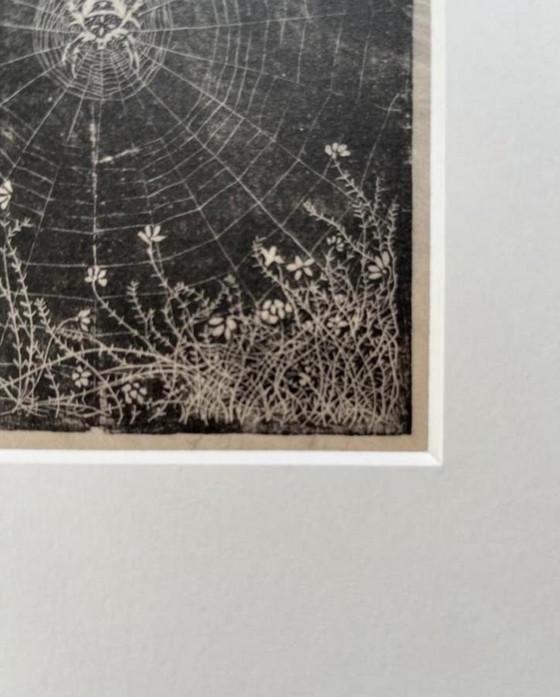 Image 1 of Jan Mankes 1889-1920 / Croce Spider Heliogravure originale 1923