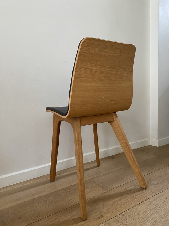 Image 1 of 4x Morph chairs by Zeitraum made of solid wood and with leather upholstery