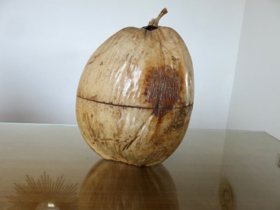 Image 1 of Large ice bucket, ice cube tray, 1970s. Vintage coconut ice bucket