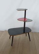 Opal Vijftiger Jaren Plantentafel