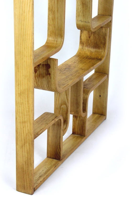Image 1 of Mid-Century Modern Room Divider by Ludvik Volak for Drevopodnik Holesov, 1960s