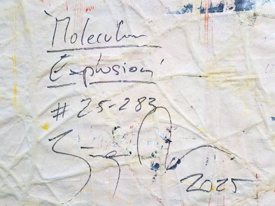 Image 1 of Jürgen Angeler - Molecular Explosion