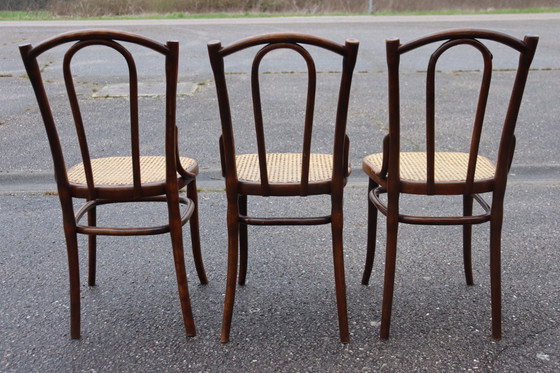 Image 1 of Sedie da bistrot serie x6 n. 56 di Thonet
