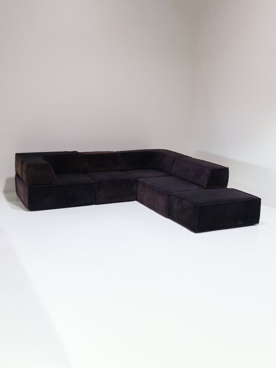 Image 1 of COR Trio modular sofa landscape sofa purple brown 1970s