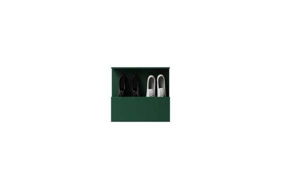NICHBA Shoe Box Shoe Rack 50 cm – Green – Wall cabinet, Metal (photo 2 of 5)