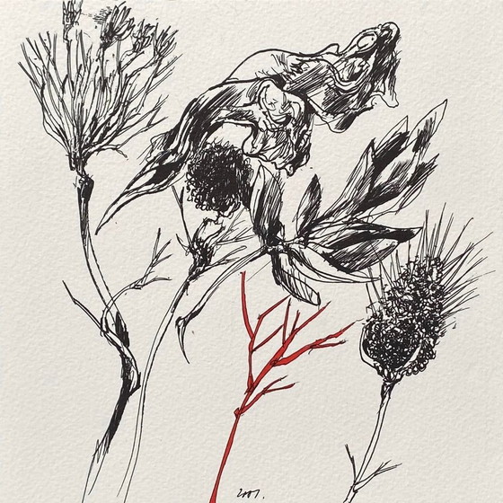 Image 1 of Vladimir VELICKOVIC Colchique lithograph 2001