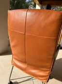 8x Montis Chaplin Bizon Natura