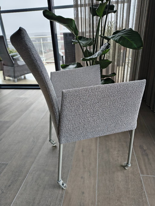 sedie da pranzo, 6 pezzi