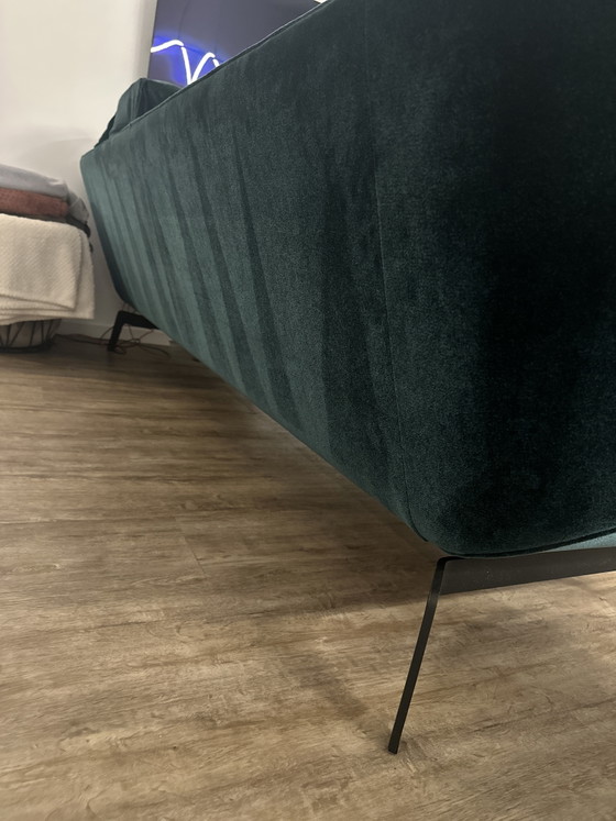 Bielefelder Werkstätten Sofa Loft, 2,60m, Groen Velours – ip design, 3-5 zitsbanken, Other (photo 4 of 5)