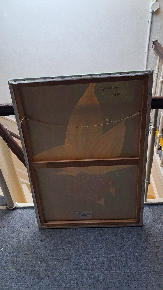 Image 1 of Lilium fructiferum, fruiting lily