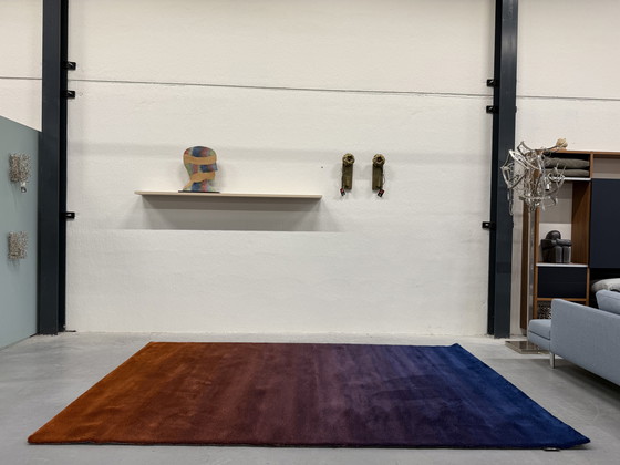 Image 1 of Tappeto Segni Tappeti Cameleon 210x320