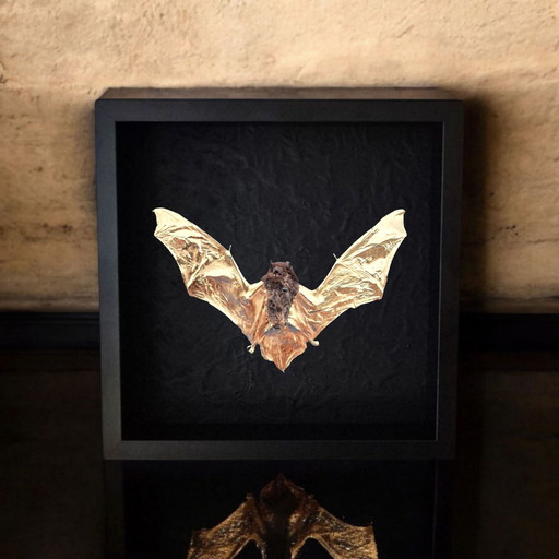 Genuine Bat 23kt Gold Gilded in Frame Taxidermy Artwork