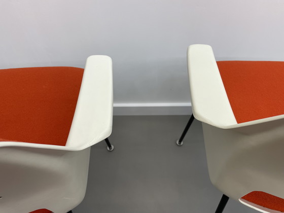 Image 1 of 5 sedie Modello 2225 André Cordemeyer Gispen anni '70