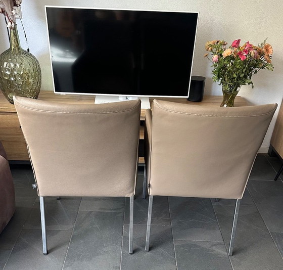 Sedie da pranzo Rolf Benz (2 pezzi) – Leather, Metal (photo 4 of 5)