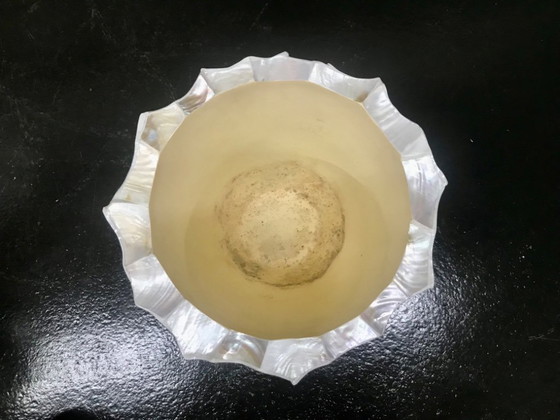 Image 1 of Radica Bowl Perlmuttmuschel Pflanzkübel Blumentöpfe Pflanzvase