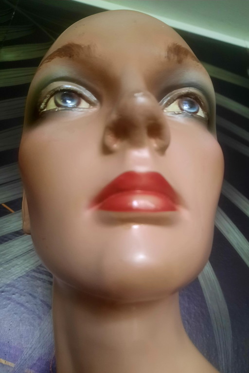 Mannequin torso