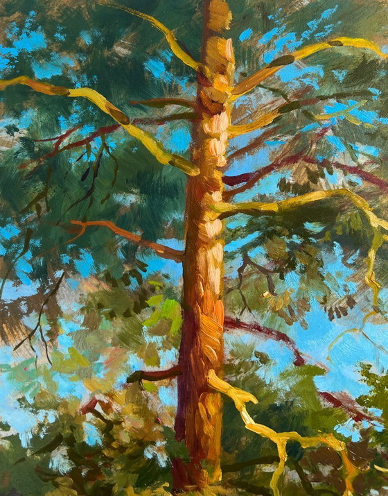 Image 1 of Original Oil Painting Day Forest Landscape Whisper of forest and water
