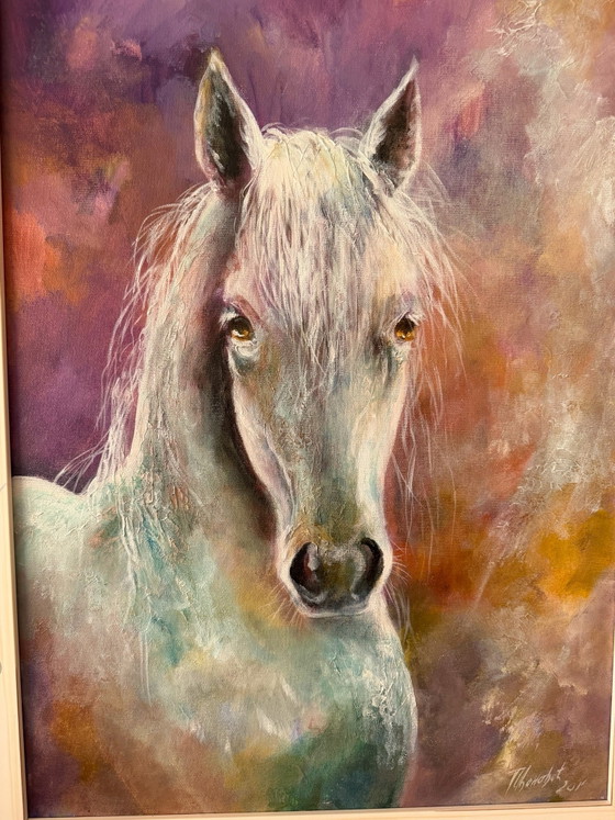Acryl schilderij paard, Schilderijen & Tekeningen, Anders, Meerdere kleuren (foto 5 van 8)