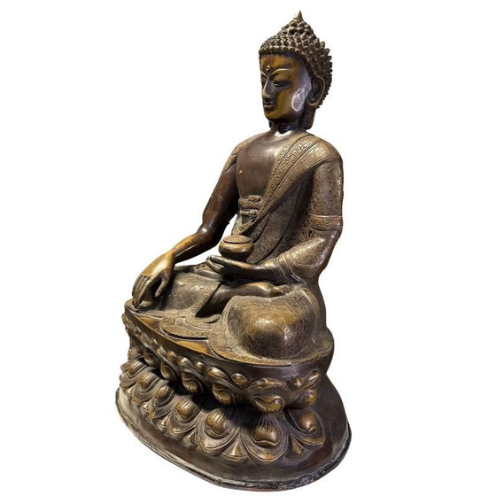 Shakyamuni Buddha - Qualità museale - 59cm molto unico – Sculture (photo 8 of 10)