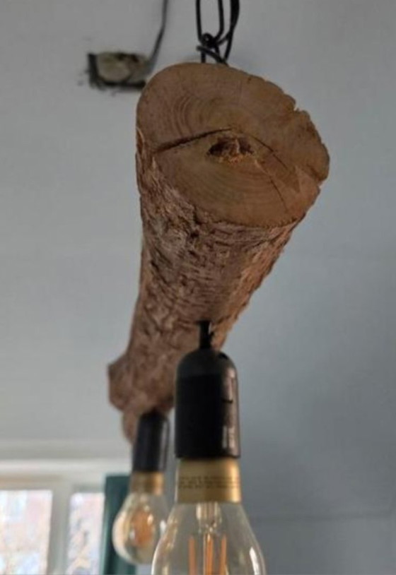 Image 1 of Suspension artisanale unique en forme de tronc d'arbre - 3 points lumineux